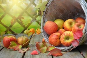 Apples fall